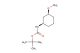 tert-butyl ((1R,3S)-3-methoxycyclohexyl)carbamate
