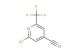 2-chloro-6-trifluoromethyl-isonicotinonitrile