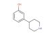 3-piperidin-4-yl-phenol