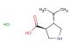 (3S,4S)-4-isopropylpyrrolidine-3-carboxylic acid hydrochloride