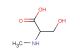 3-hydroxy-2-(methylamino)propanoic acid