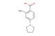 2-methyl-4-(1-pyrrolidinyl)benzoic acid