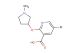 5-bromo-2-((1-methylpyrrolidin-3-yl)oxy)nicotinic acid