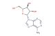 Vidarabine(Synonyms: Ara-A; Adenine Arabinoside; 9-beta-D-Arabinofuranosyladenine)