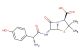Amoxicillin(Synonyms: Amoxycillin)