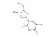5-BrdU(Synonyms: BrdU; 5-Bromo-2'-deoxyuridine; BUdR)