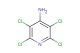 tetrachloropyridin-4-amine