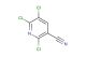 2,5,6-trichloropyridine-3-carbonitrile
