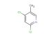 2,4-dichloro-5-methylpyridine