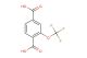 2-(trifluoromethoxy)benzene-1,4-dicarboxylic acid
