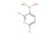 (2,6-dichloropyridin-3-yl)boronic acid