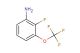 2-fluoro-3-(trifluoromethoxy)aniline