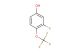 3-fluoro-4-(trifluoromethoxy)phenol