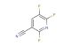 2,5,6-trifluoropyridine-3-carbonitrile