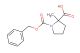 1-[(benzyloxy)carbonyl]-2-methylpyrrolidine-2-carboxylic acid