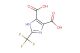 2-(trifluoromethyl)-1H-imidazole-4,5-dicarboxylic acid