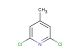 2,6-dichloro-4-methylpyridine