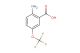 2-amino-5-(trifluoromethoxy)benzoic acid