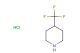4-(trifluoromethyl)piperidine hydrochloride