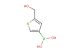 [5-(hydroxymethyl)thiophen-3-yl]boronic acid