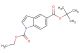 5-tert-butyl 1-ethyl 1H-indole-1,5-dicarboxylate