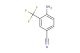 4-amino-3-(trifluoromethyl)benzonitrile