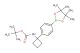 tert-butyl (1-(4-(4,4,5,5-tetramethyl-1,3,2-dioxaborolan-2-yl)phenyl)cyclobutyl)carbamate