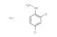 (2,4-dichlorophenyl)hydrazine hydrochloride