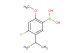 [4-fluoro-2-methoxy-5-(propan-2-yl)phenyl]boronic acid