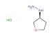 [(3S)-oxolan-3-yl]hydrazine hydrochloride