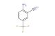 2-amino-5-(trifluoromethyl)benzonitrile