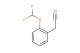 2-[2-(difluoromethoxy)phenyl]acetonitrile