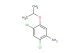 2,4-dichloro-5-(propan-2-yloxy)aniline