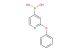 (2-phenoxypyridin-4-yl)boronic acid