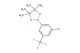 2-[3-chloro-5-(trifluoromethyl)phenyl]-4,4,5,5-tetramethyl-1,3,2-dioxaborolane