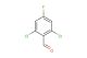 2,6-dichloro-4-fluorobenzaldehyde