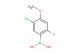 (5-chloro-2-fluoro-4-methoxyphenyl)boronic acid