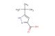 5-tert-butyl-1H-pyrazole-3-carboxylic acid