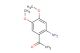 1-(2-amino-4,5-dimethoxyphenyl)ethan-1-one