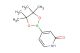 4-(tetramethyl-1,3,2-dioxaborolan-2-yl)-1,2-dihydropyridin-2-one