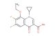 1-cyclopropyl-8-ethoxy-6,7-difluoro-4-oxo-1,4-dihydroquinoline-3-carboxylic acid