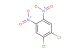 1,2-dichloro-4,5-dinitrobenzene