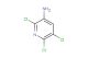 2,5,6-trichloropyridin-3-amine