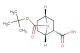 (1S,2S,4R)-7-[(tert-butoxy)carbonyl]-7-azabicyclo[2.2.1]heptane-2-carboxylic acid