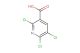 2,5,6-trichloropyridine-3-carboxylic acid