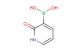 (2-oxo-1,2-dihydropyridin-3-yl)boronic acid