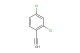 2,4-dichloro-1-ethynylbenzene