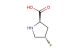 (2R,4S)-4-fluoropyrrolidine-2-carboxylic acid