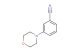 3-(morpholin-4-yl)benzonitrile