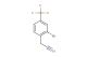2-[2-bromo-4-(trifluoromethyl)phenyl]acetonitrile